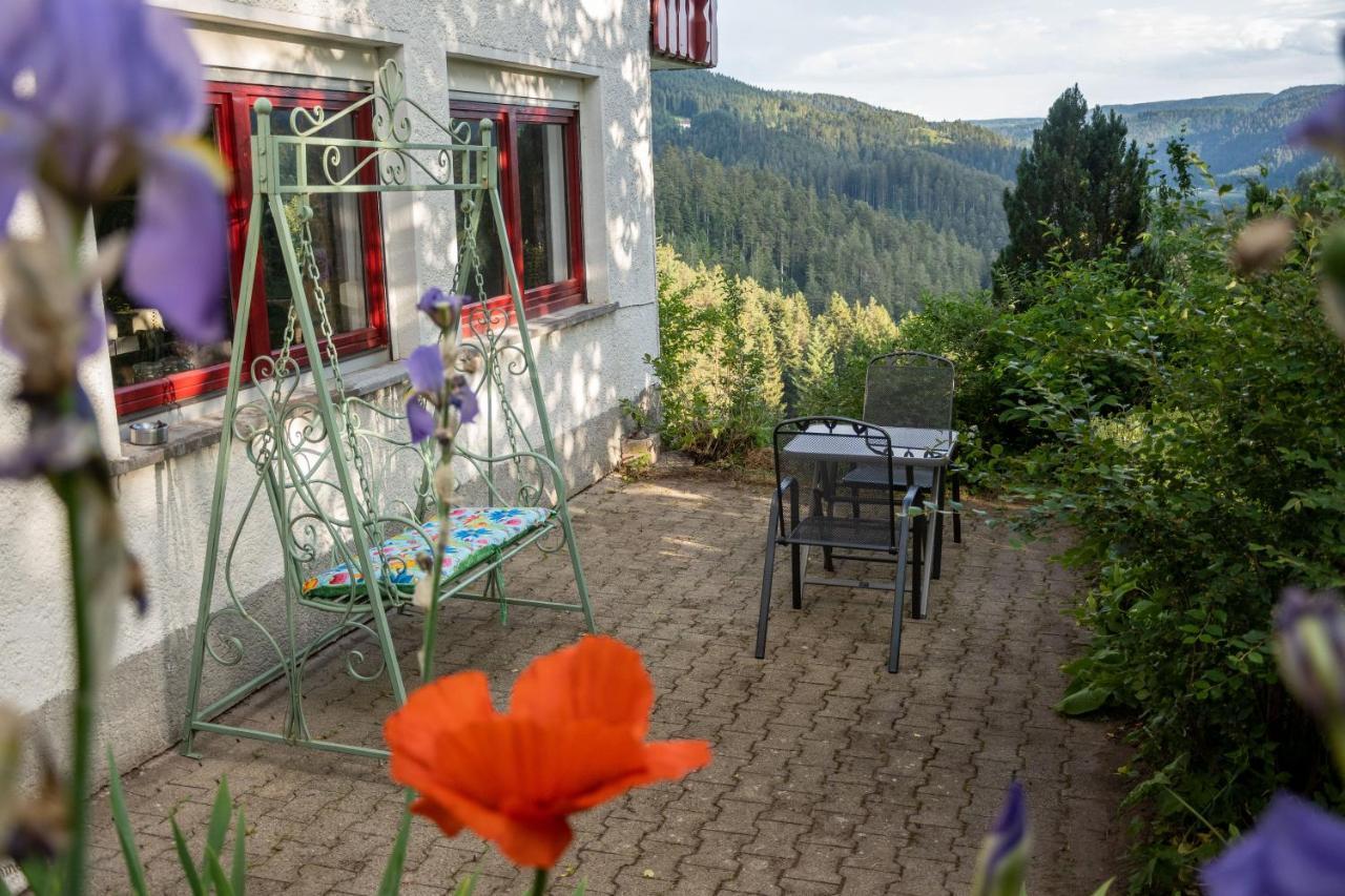 Hansjoergenhof Bioland-hof Apartment Schiltach