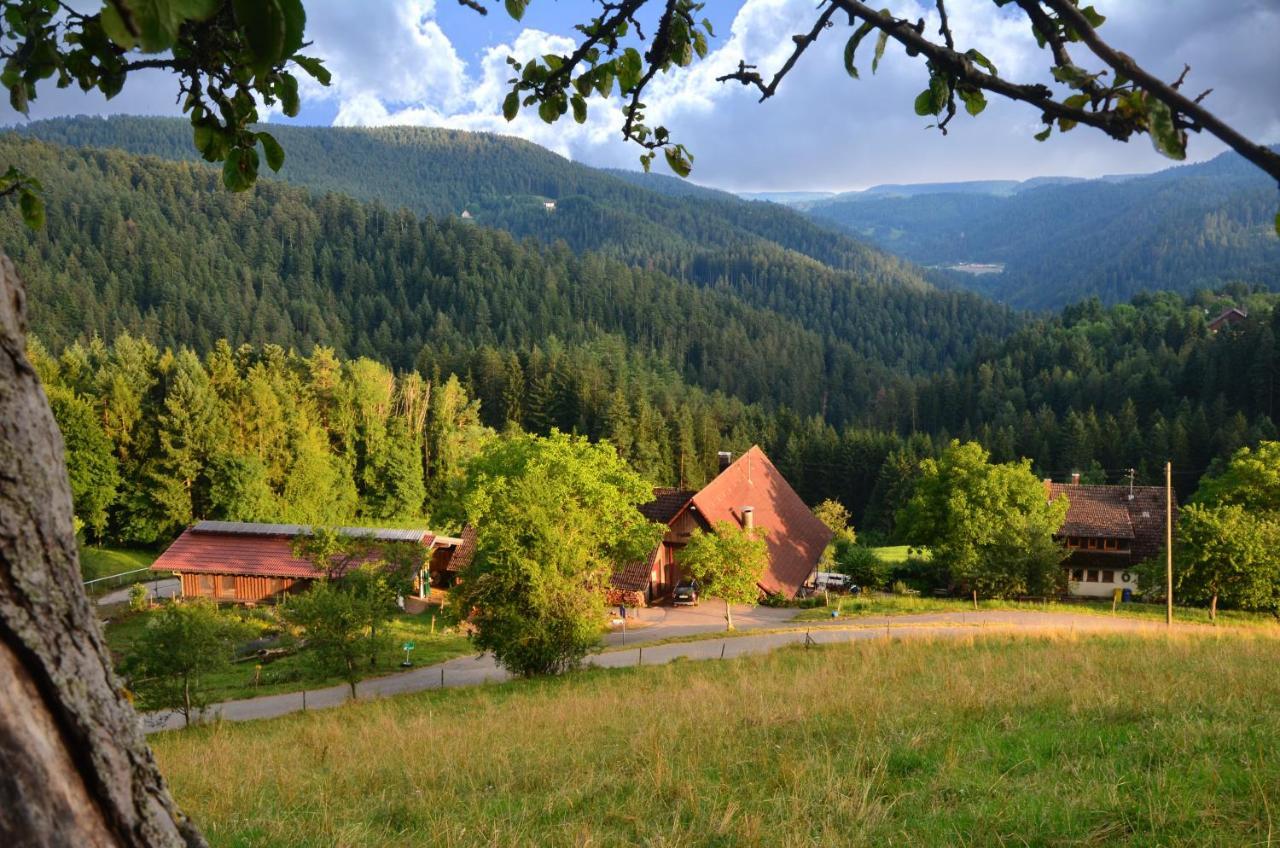 Apartment Hansjoergenhof Bioland-hof Schiltach