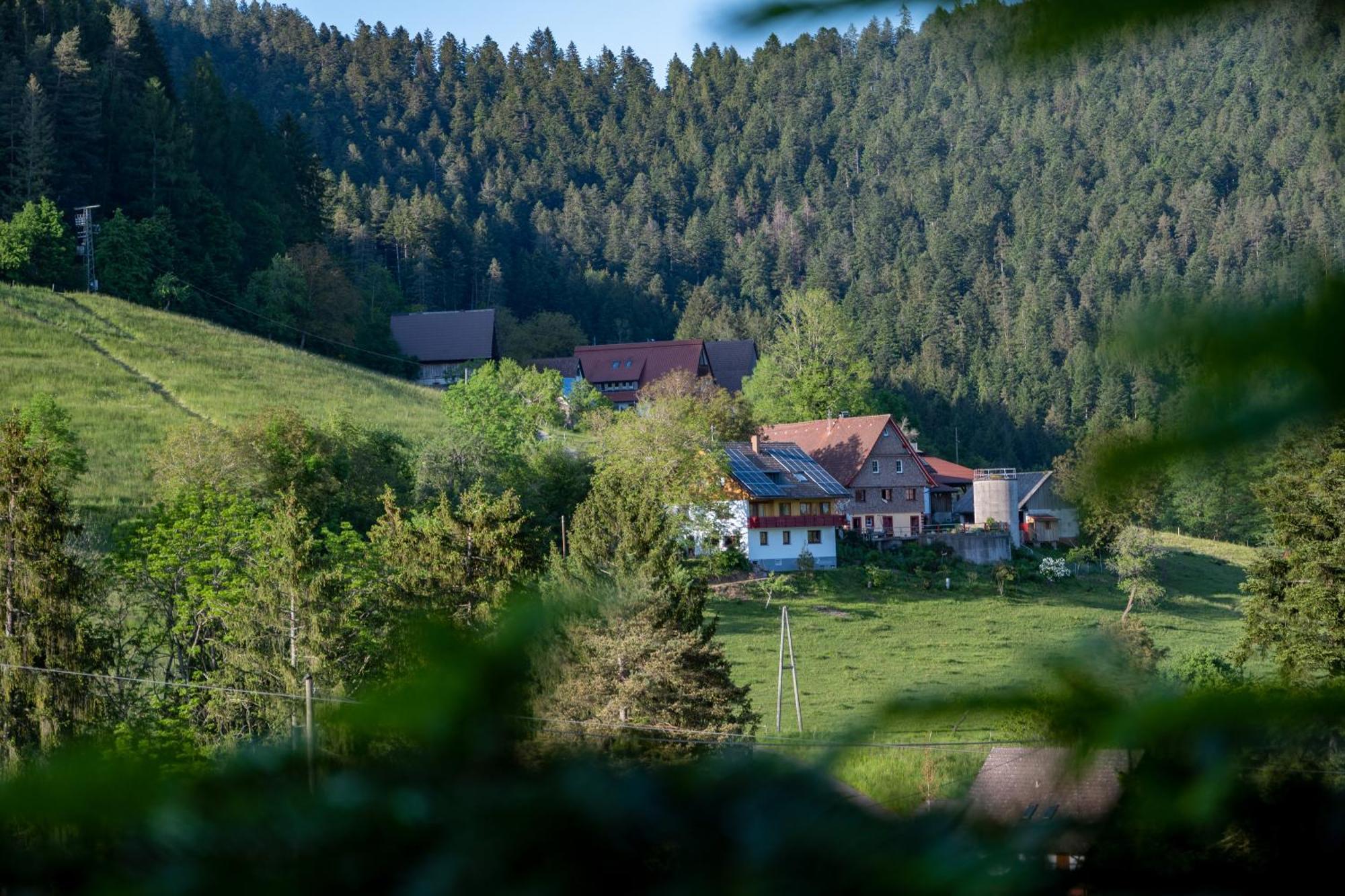 Hansjoergenhof Bioland-hof *